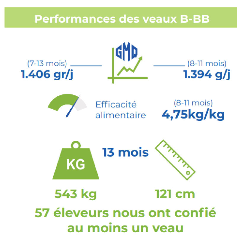 Performances Veaux CSB 2024